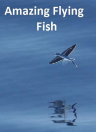 Title: Nature: Amazing Flying Fish, Author: Natur 99 Cent ebooks