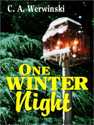 Title: One Winter Night, Author: The Editors of True Story Magazine