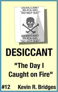 Title: Desiccant 012: The Day I Caught on Fire, Author: Kevin R. Bridges