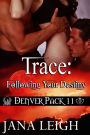 Trace: Following Your Destiny