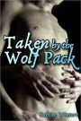 Taken by the Wolf Pack (Gay Werewolf Gangbang Erotica)