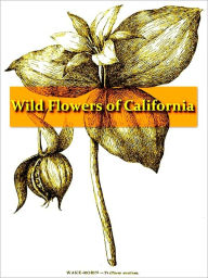 Title: The Wild Flowers of Califorina: Their Names, Haunts, and Habits [Illustrated], Author: Mary Elizabeth Parsons