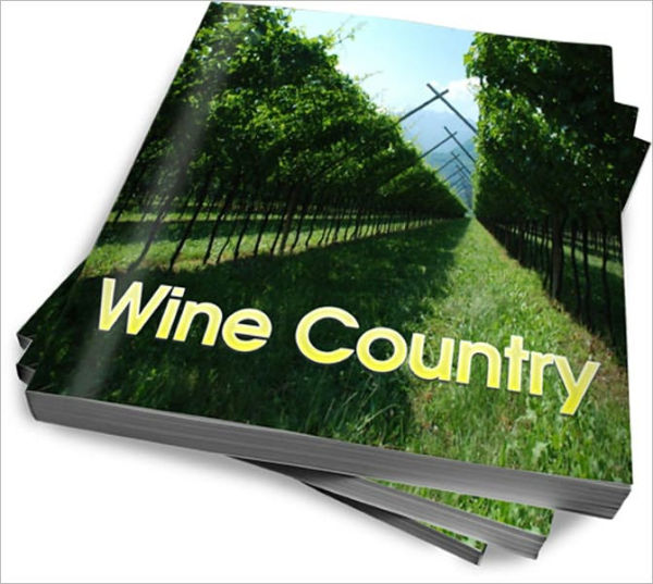 A Wine Country Experience – Vacation Tour And Business Benefits