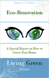 Title: Eco-Renovation: A Special Report on How To Green Your Home, Author: James J. Larsen