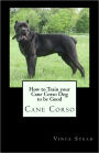 How to Train your Cane Corso Dog to be Good