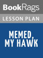 Memed, My Hawk by Yasar Kemal Lesson Plans