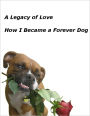 A Legacy of Love - How I Became a Forever Dog