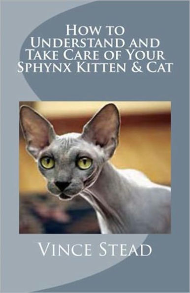 How to Understand and Take Care of Your Sphynx Kitten & Cat