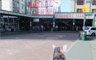 Title: SYDNI'S TRAVEL LOG: PIKE PLACE MARKET, Author: RHONDA BLYN