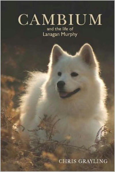 CAMBIUM and the Life of Lanagan Murphy