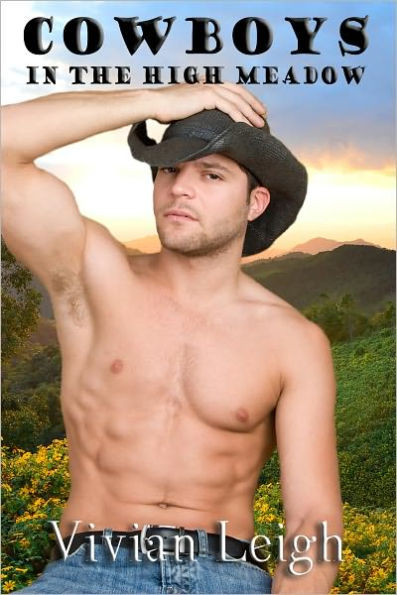 Cowboys in the High Meadow Gay Erotic Romance