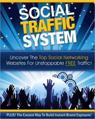 Title: Social Traffic System: Top Social Networking Sites For Your Business, Author: Anonymous