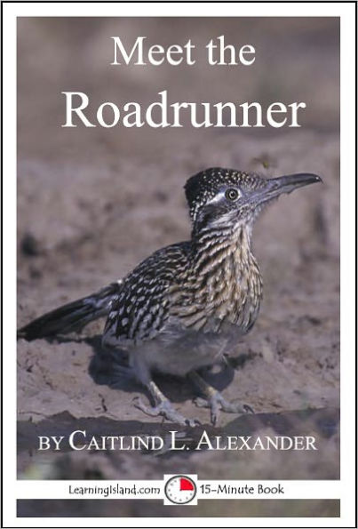 Meet the Roadrunner: A 15-Minute book for Early Readers