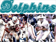 Title: Miami Dolphins 1979: A Game-by-Game Guide, Author: John Schaefer