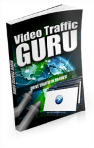 Title: Video Traffic Guru, Author: Alan Smith