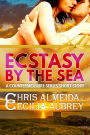 Ecstasy by the Sea: A Contemporary Romance Novella in the Countermeasure Series