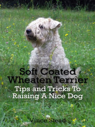 Title: Soft Coated Wheaten Terrier Tips and Tricks To Raising A Nice Dog, Author: Vince Stead