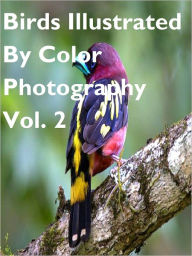 Title: Birds Illustrated By Color Photography Vol. 2, Author: Mike Morley