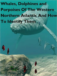 Title: Whales, Dolphines, and Porpoises Of The Western Northern Atlantic A Guide To Their Identification, Author: Stephen Leatherwood