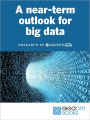 A Near Term Outlook for Big Data