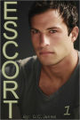 Escort (Gay Romance Erotica)