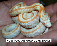 Title: Animals:How to Care for a Corn Snake ( nature Children, amazing animals, cutest animals, baby animals, wild, forest, beast, animals ), Author: nature Snake eBooks