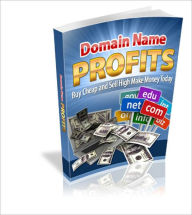 Title: Domain Name Profits - Buy Cheap And Sell High Make Money Today, Author: Irwing