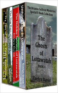 Title: The Ghosts of Lottawatah, Author: Evelyn David