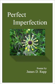 Title: Perfect Imperfection, Author: James Rapp