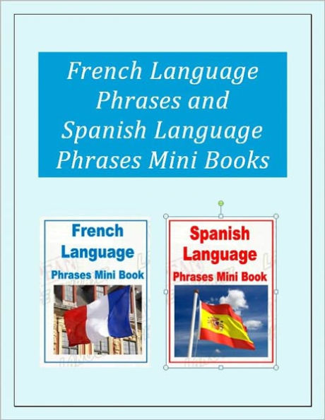 French Language Phrases and Spanish Language Phrases Mini Book