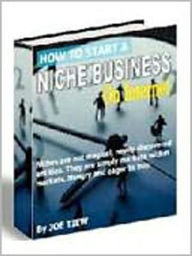 Title: How to Start A Niche Business On Internet, Author: 0penny.com