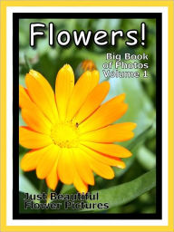 Title: Just Flower Photos! Big Book of Flowers Photographs & Pictures, Vol. 1, Author: Big Book of Photos