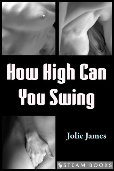 How High Can You Swing - Group Sex MFFM Erotica from Steam Books