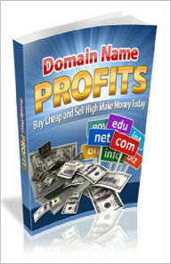 Title: Domain Name Profits: Learn how to make profits without the hassles of starting your own business! AAA+++, Author: BDP