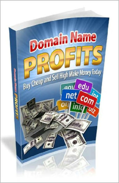 Domain Name Profits: Learn how to make profits without the hassles of starting your own business! AAA+++