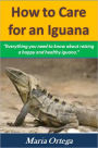 How to Care for an Iguana