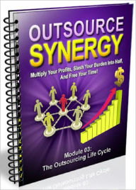 Title: Outsource Synergy (3 in 1), Author: All classic book warehouse