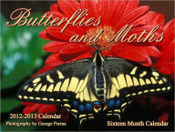 Title: Butterflies and Moths, Author: George Perina