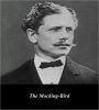The Mocking-Bird (Illustrated)
