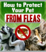 How To Protect Your Pet From Fleas