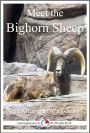 Meet the Bighorn Sheep: A 15-Minute book for Early Readers