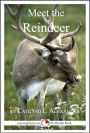 Meet the Reindeer: A 15-Minute Book for Early Readers