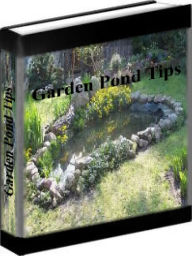 Title: Garden Pond Tips - How To Create A Garden Pond, Author: Bob Villa