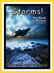 Title: Just Storm Photos! Big Book of Photographs & Pictures of Storms, Vol. 1, Author: Big Book of Photos