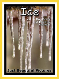 Title: Just Ice Photos! Big Book of Photographs & Pictures of Ice, Vol. 1, Author: Big Book of Photos