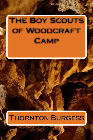 The Boy Scouts of Woodcraft Camp (Illustrated)
