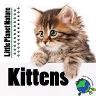 Title: Little Planet Nature: Kittens, Author: Rebecca Smith