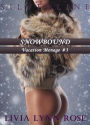 Snowbound: Vacation Menage #3