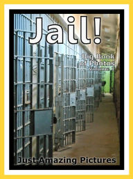 Title: Just Prison & Jail Photos! Big Book of Photographs & Pictures of Prisons & Jails, Vol. 1, Author: Big Book of Photos