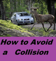 Title: Fantasy Fiction: How to Avoid a Collision ( collision, jolt, friction, impact, competition, renounce, Eschew, avoid, forgo, relinquish ), Author: Fantasy Fiction Auto Safty eBooks